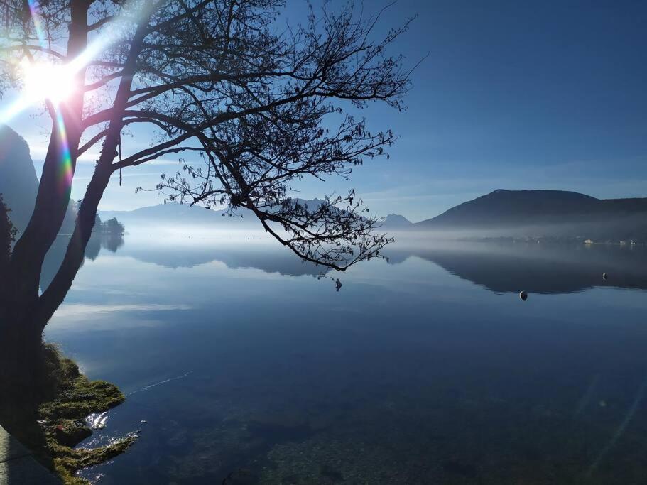 Cabana & Le Central - Proche Lac , Terrasse Et Parking Annecy Exterior foto